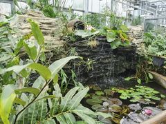 -国家植物园南园