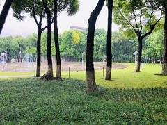 -重庆市江北嘴中央商务区中央公园