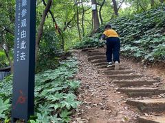 -马王堆汉墓遗址