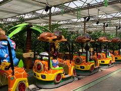 -南宫五洲植物乐园