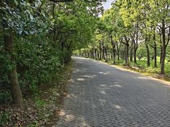 -上海海湾国家森林公园