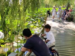 -长春市南湖公园