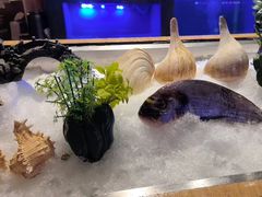 -月下料理(楷林IFC店)