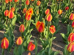 -长春公园(普阳街道)