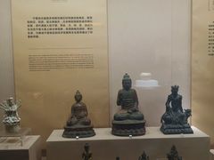 -宁夏博物馆