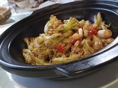-食家鸽园