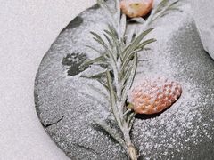 -伊斯坦布尔土耳其清真咖啡餐厅