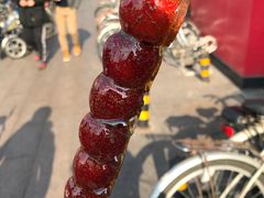 -和禄德冰糖葫芦