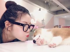 -浣熊柯尔鸭土拨鼠·电玩咖