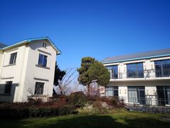 -上海市保健医疗中心