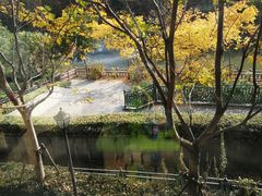 -新江湾城公园