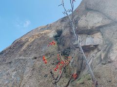 -崂山巨峰游览区