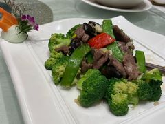 -龙悦湾酒家·八阵鱼生·渔人码头店