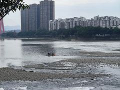 -平安桥张氏肥肠粉