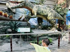 -国家自然博物馆