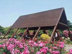 -上海滨江森林公园