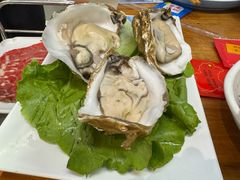 -金龙·打边炉(南京西路店)