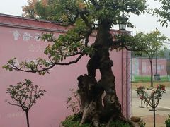 -东湖食堂·湖景餐厅•会议