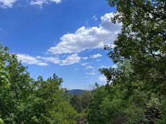 -鹫峰国家森林公园