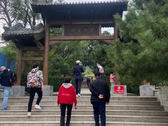 -阳台山自然风景区