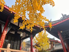-上海柏悦酒店