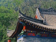 -陕西省红河谷森林公园