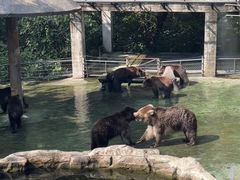 -深圳野生动物园