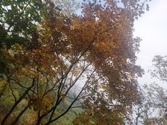 -帽儿山国家森林公园