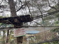 -芦仙山景区-飞越丛林探险乐园