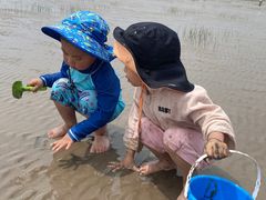 -南汇嘴观海公园