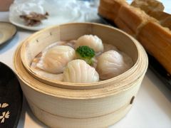 -悦景酒家(罗湖店)