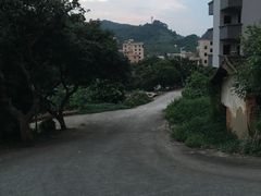 -南权皇烧鸡场