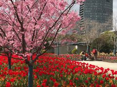 -丹东路渡口(轮渡站)