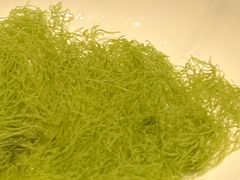 -鲁班张中原家宴(马庄街店)