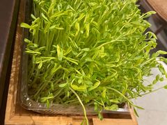 -大头椰·椰子鸡火锅(南宁万象城店)