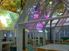 -香港狮子山下·明星粤菜餐厅(北苑店)