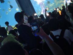 -海合安武汉极地海洋公园