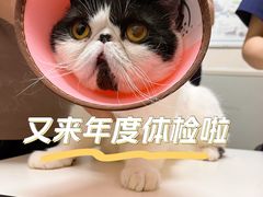 -谐和益家动物医院·免疫绝育·血液透析·宠保定点医院(高新伊藤分院)