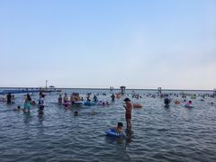 -碧海金沙