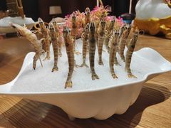 -尚海豆捞(乐虹坊店)