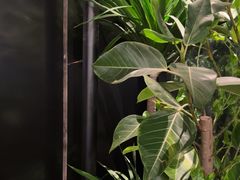 -柿合缘新京菜(国金中心商场店)