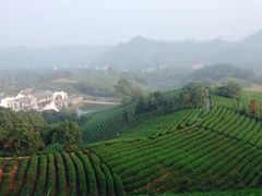 -帐篷客·溪龙茶谷度假酒店