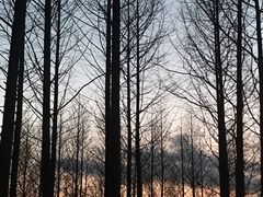-绍兴镜湖国家城市湿地公园