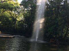 -九龙公园
