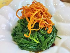 -新疆巴州金丝特餐厅(大钟寺店)