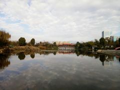 -洛龙公园