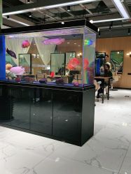-T8 SALON