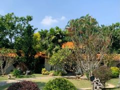 -深圳仙湖植物园