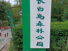 -长白岛森林公园