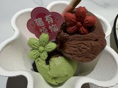 -阿露佳·舌尖上的安吉菜